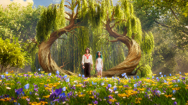 DVD Cover