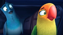 DVD Cover