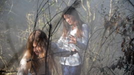 DVD Cover